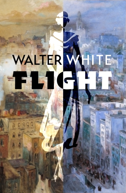 Book Cover for Flight by Walter White