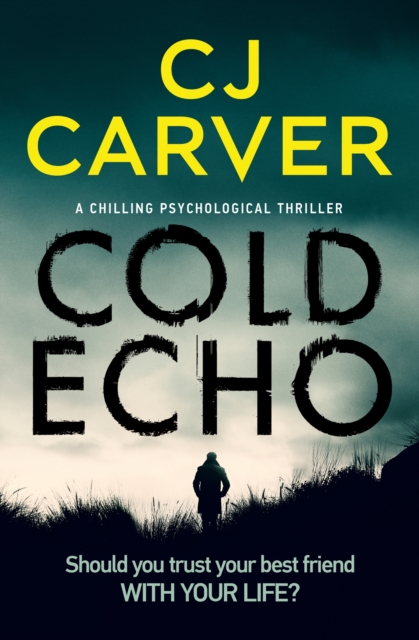 Book Cover for Cold Echo by CJ Carver