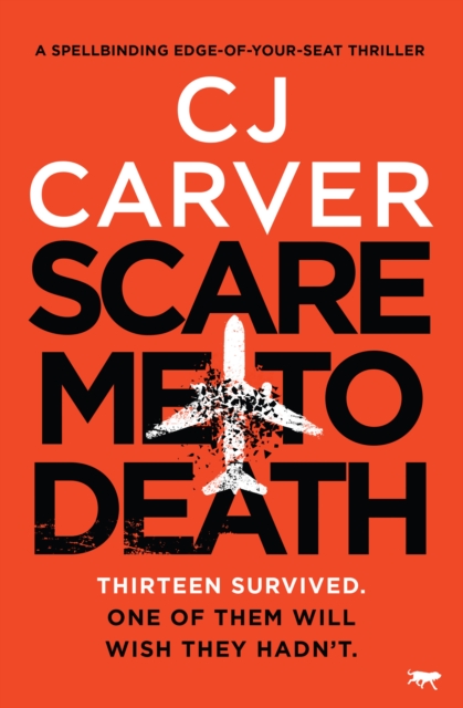 Book Cover for Scare Me to Death by CJ Carver