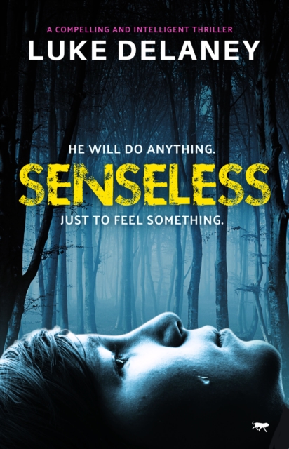 Book Cover for Senseless by Luke Delaney