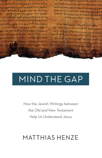 Book Cover for Mind the Gap by Henze, Matthias