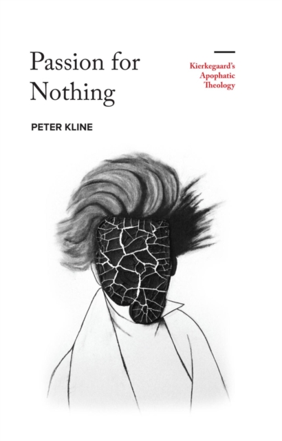 Book Cover for Passion for Nothing by Peter Kline