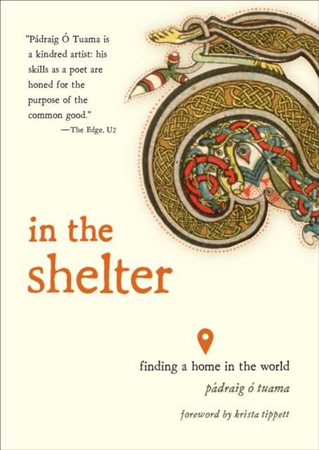 Book Cover for In the Shelter by Padraig O Tuama