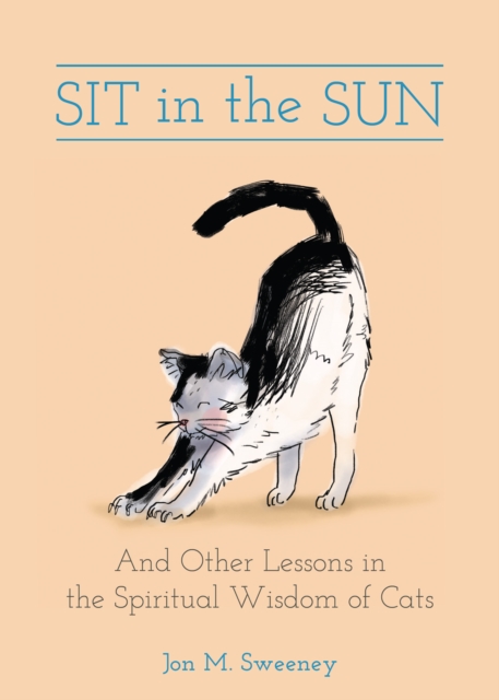 Book Cover for Sit in the Sun by Jon M. Sweeney