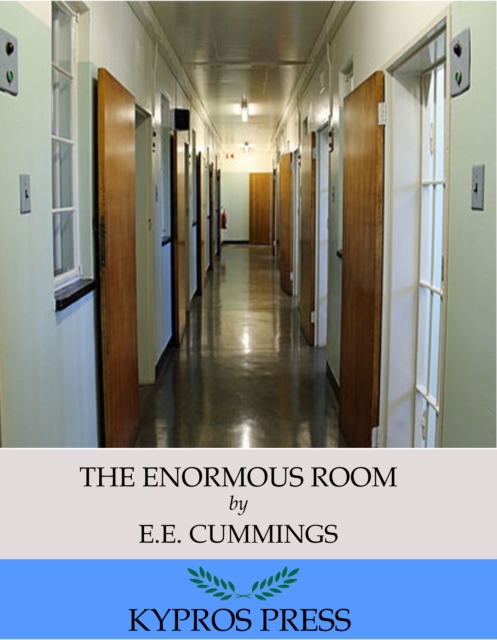 Book Cover for Enormous Room by E.E. Cummings