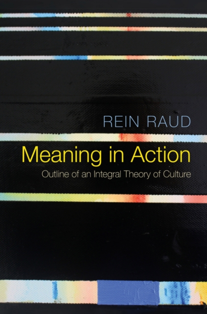 Book Cover for Meaning in Action by Rein Raud