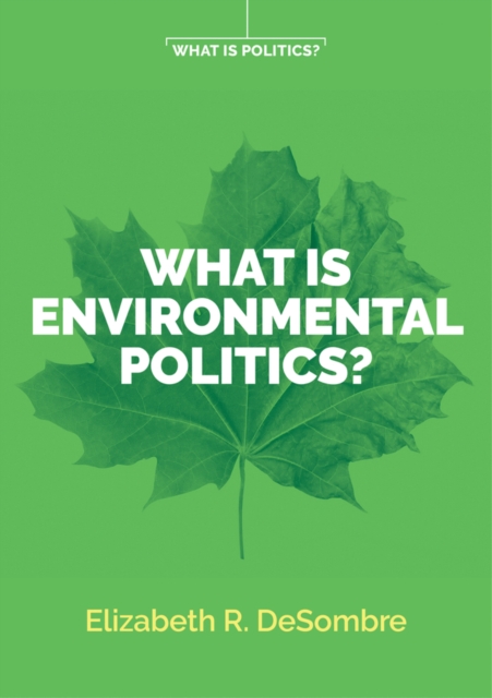 Book Cover for What is Environmental Politics? by Elizabeth R. DeSombre