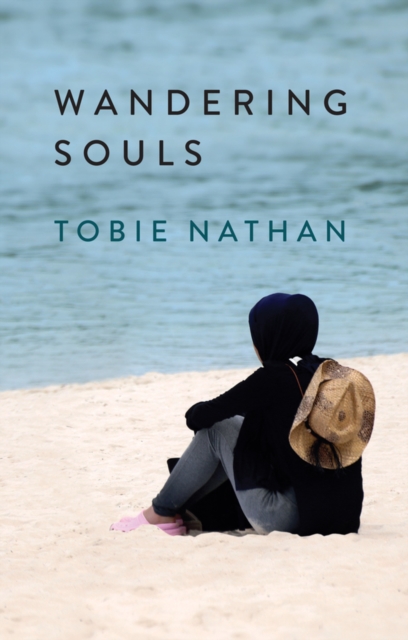 Book Cover for Wandering Souls by Tobie Nathan