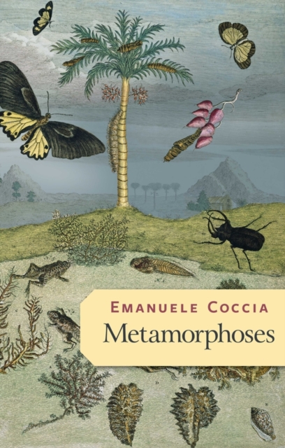Book Cover for Metamorphoses by Emanuele Coccia