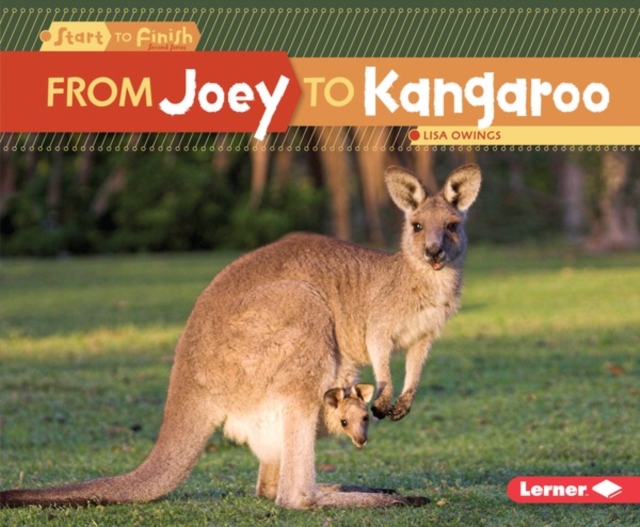 Book Cover for From Joey to Kangaroo by Lisa Owings