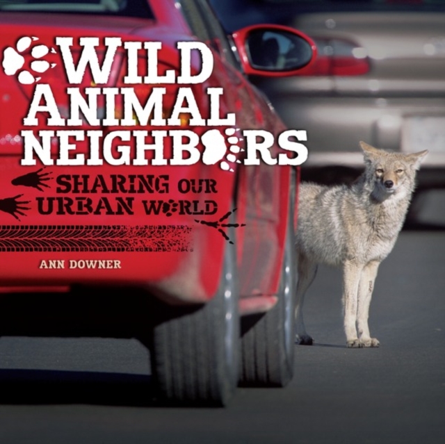 Book Cover for Wild Animal Neighbors by Downer, Ann