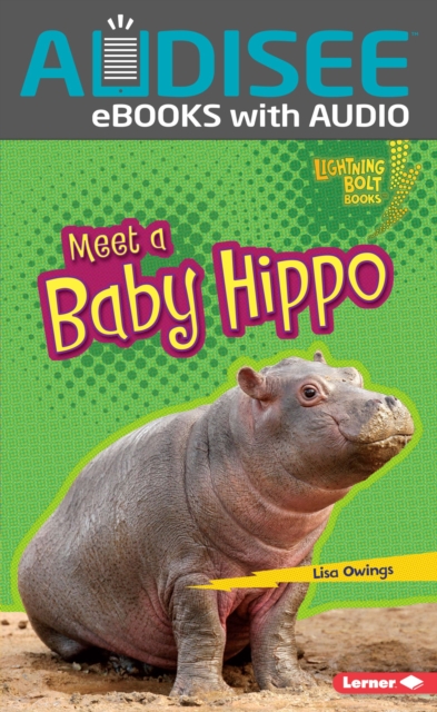 Book Cover for Meet a Baby Hippo by Lisa Owings