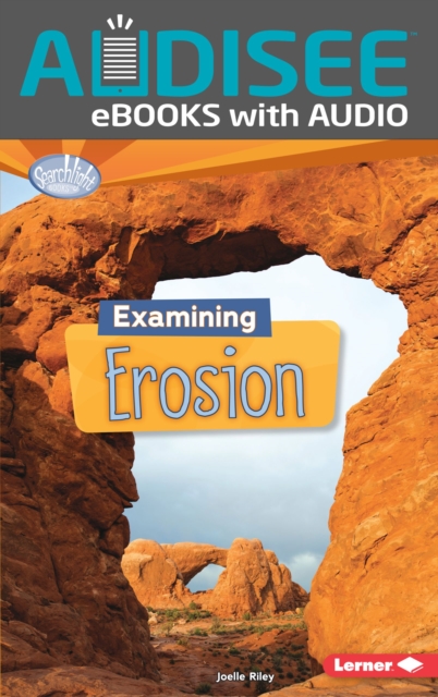 Book Cover for Examining Erosion by Riley, Joelle