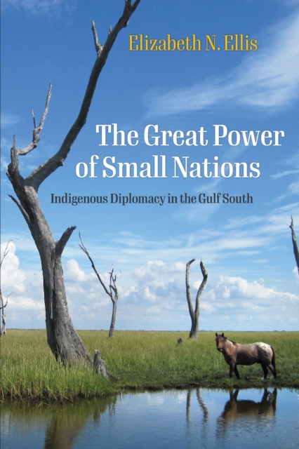 Book Cover for Great Power of Small Nations by Elizabeth N. Ellis