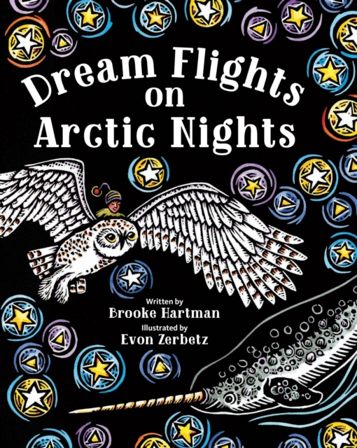 Book Cover for Dream Flights on Arctic Nights by Hartman, Brooke