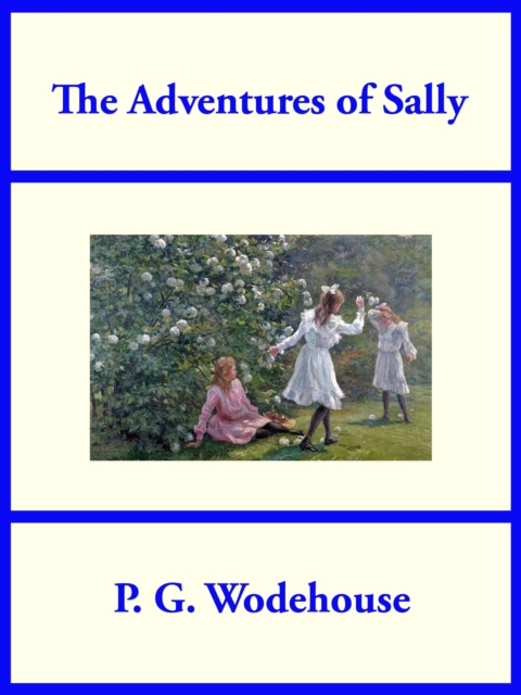 Book Cover for Adventures of Sally by P. G. Wodehouse