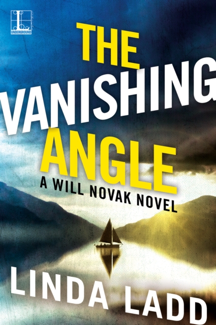 Book Cover for Vanishing Angle by Linda Ladd