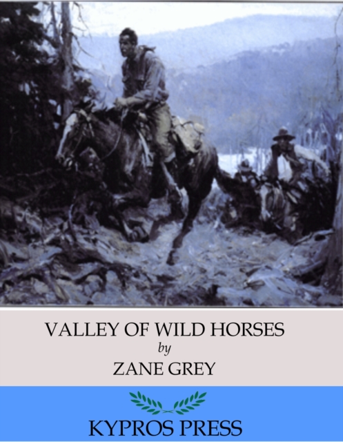 Book Cover for Valley of Wild Horses by Zane Grey