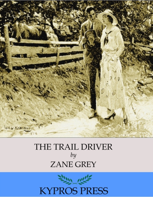 Book Cover for Trail Driver by Zane Grey