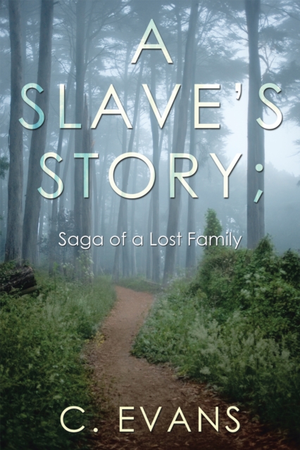 Book Cover for Slave'S Story; Saga of a Lost Family by C. Evans