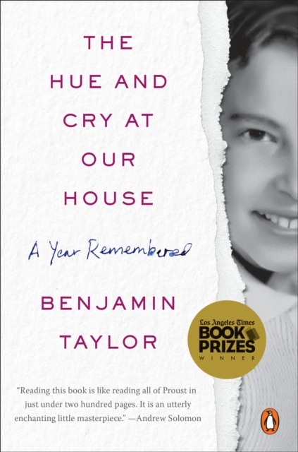 Book Cover for Hue and Cry at Our House by Benjamin Taylor