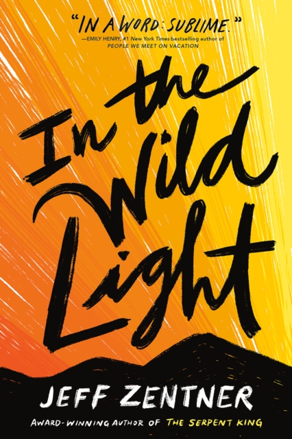 Book Cover for In the Wild Light by Jeff Zentner