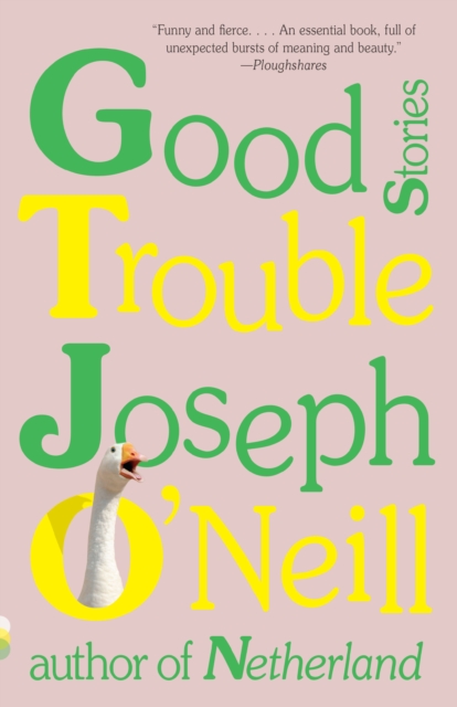 Book Cover for Good Trouble by O'Neill, Joseph