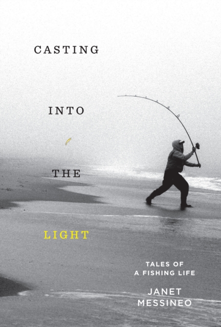 Book Cover for Casting into the Light by Janet Messineo