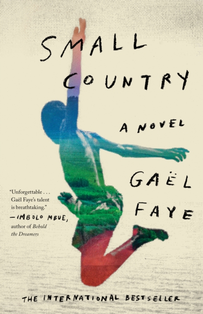 Book Cover for Small Country by Faye, Gael