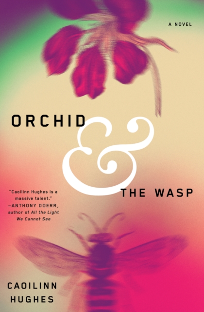 Book Cover for Orchid and the Wasp by Caoilinn Hughes