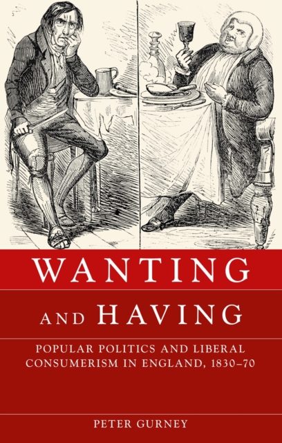 Book Cover for Wanting and having by Peter Gurney