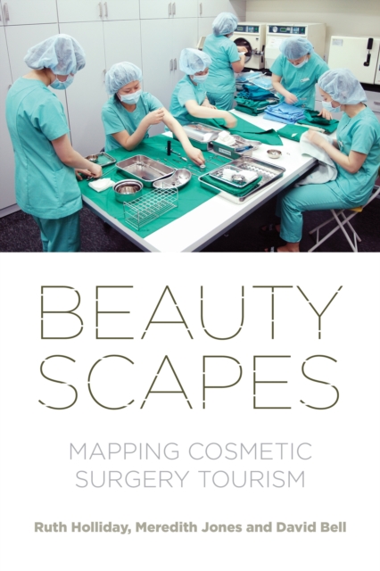 Book Cover for Beautyscapes by Holliday, Ruth|Jones, Meredith|Bell, David