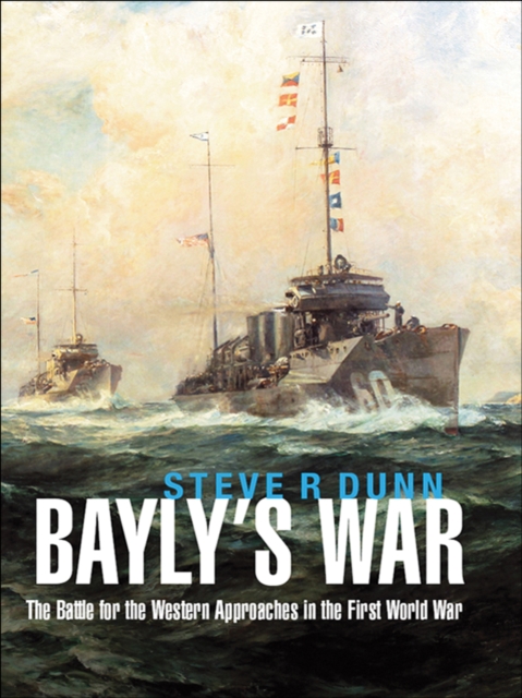 Book Cover for Bayly's War by Steve R Dunn