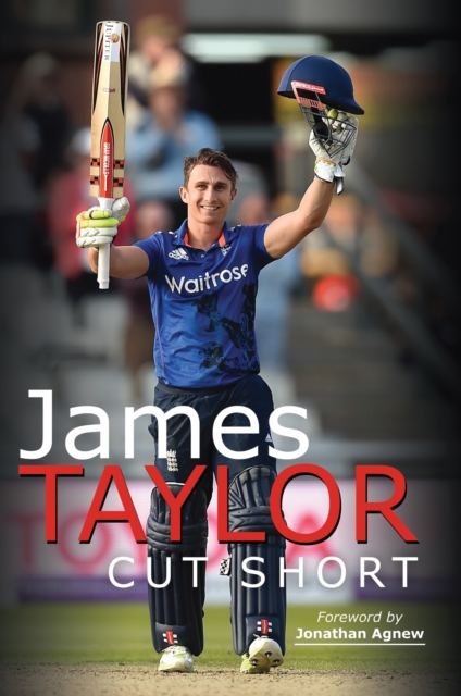 Book Cover for James Taylor by James Taylor