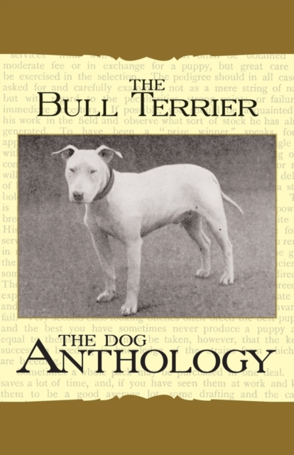 Book Cover for Bull Terrier - A Dog Anthology (A Vintage Dog Books Breed Classic) by Various