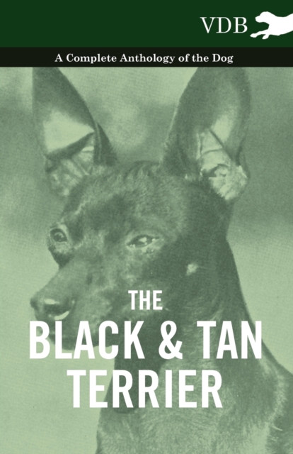 Book Cover for Black and Tan Terrier - A Complete Anthology of the Dog - by Various