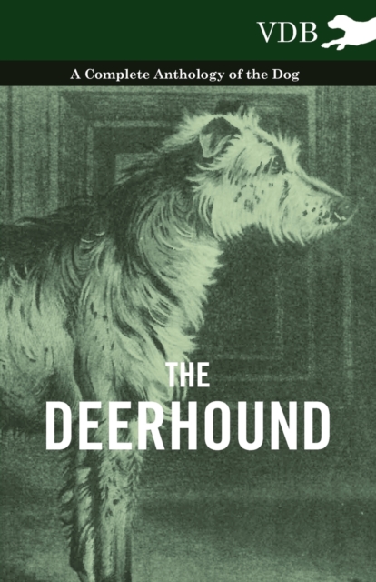 Book Cover for Deerhound - A Complete Anthology of the Dog by Various