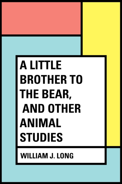 Book Cover for Little Brother to the Bear, and other Animal Studies by William J. Long