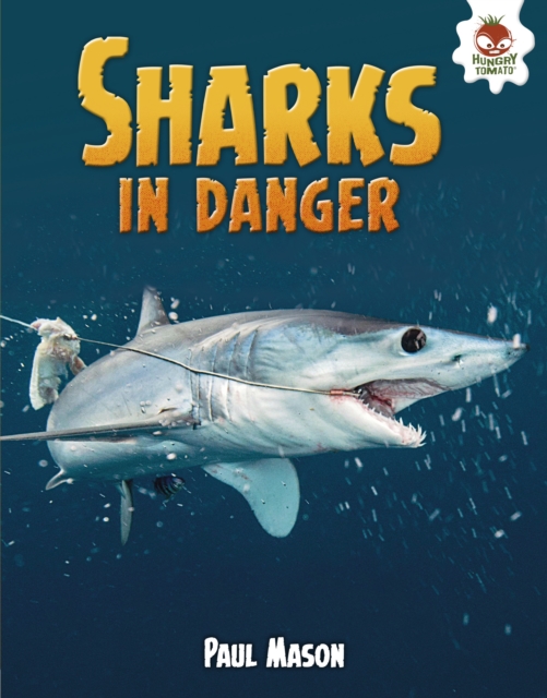 Book Cover for Sharks in Danger by Paul Mason