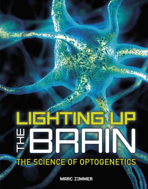 Book Cover for Lighting Up the Brain by Marc Zimmer