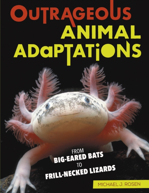 Book Cover for Outrageous Animal Adaptations by Michael J. Rosen