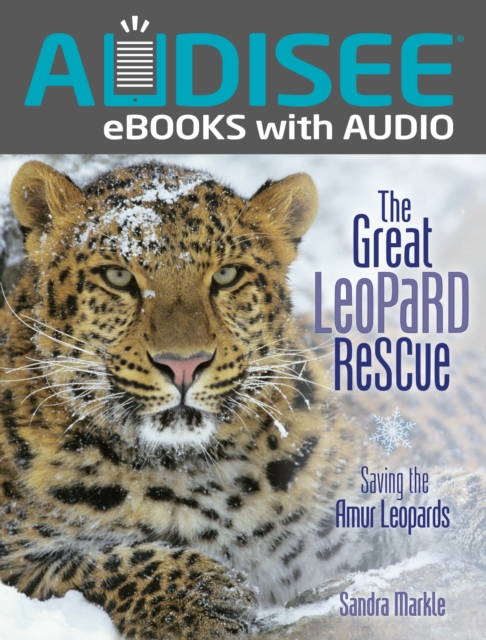 Book Cover for Great Leopard Rescue by Markle, Sandra