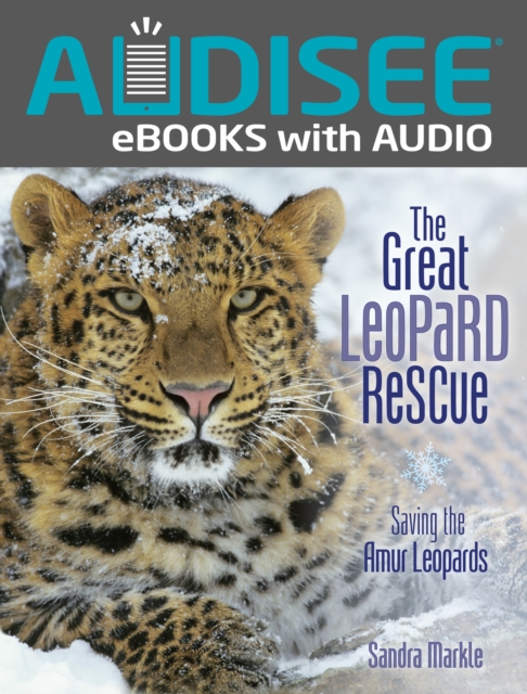 Book Cover for Great Leopard Rescue by Sandra Markle