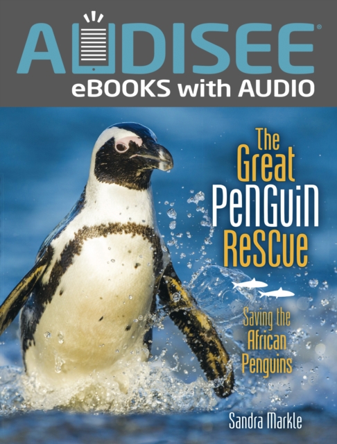 Book Cover for Great Penguin Rescue by Sandra Markle