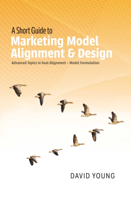 Book Cover for Short Guide to Marketing Model Alignment & Design by David Young