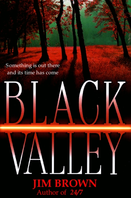 Book Cover for Black Valley by Jim Brown