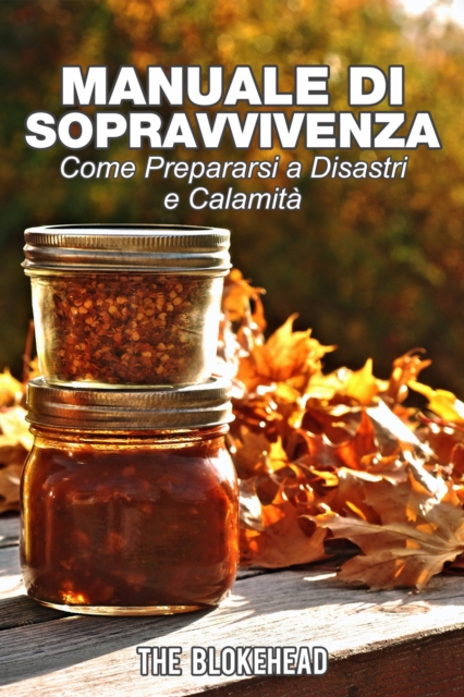 Book Cover for Manuale di sopravvivenza. Come prepararsi a disastri e calamità. by The Blokehead