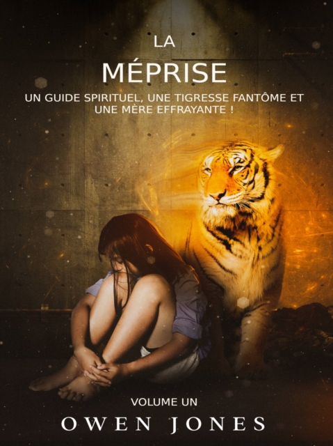 Book Cover for La méprise by Owen Jones