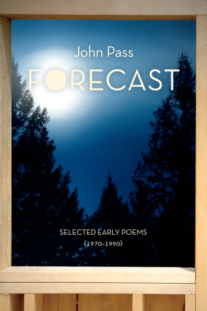 Book Cover for Forecast by John Pass