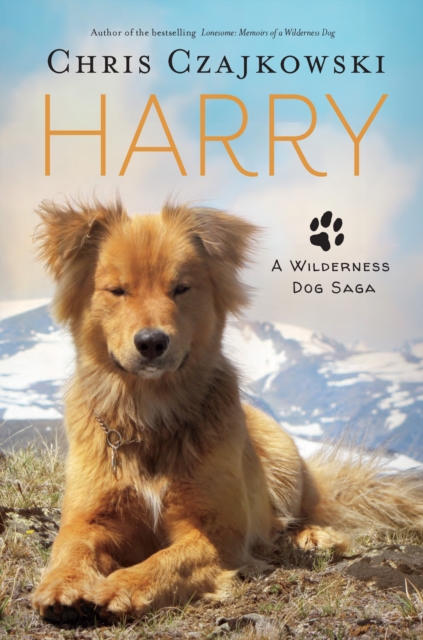 Book Cover for Harry by Chris Czajkowski